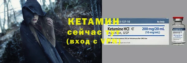 шишки Михайловск