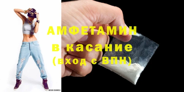шишки Сосновка