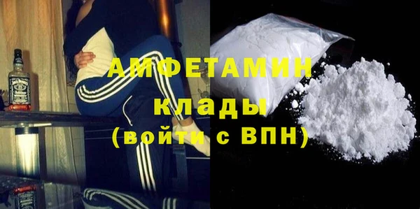 шишки Михайловск
