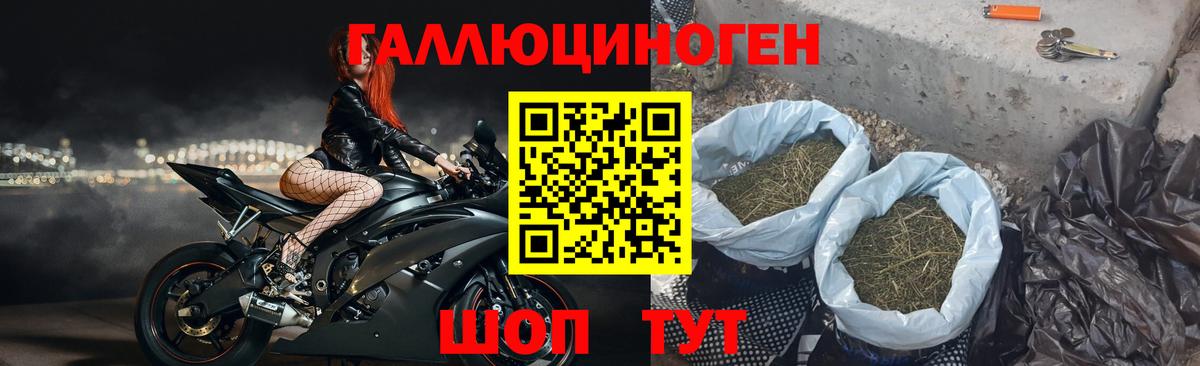 Галлюциногенные грибы мицелий  Вход с VPN  Моздок  Псилоцибиновые грибы Psilocybine cubensis 